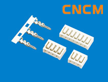 (SAN)������������