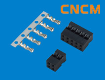 (�Ű�2.0˫��)������������