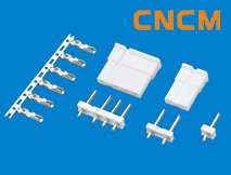 (TJC2)������������